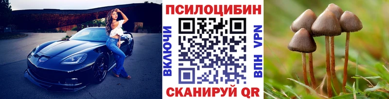 блэк спрут ссылки  Абаза  Галлюциногенные грибы GOLDEN TEACHER  что такое наркотик 